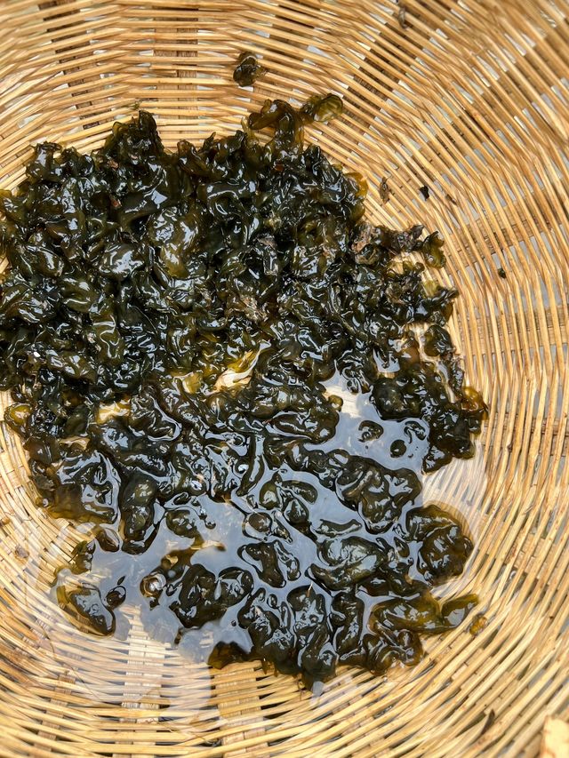 成都長者遊玩秘笈別錯過這些精華