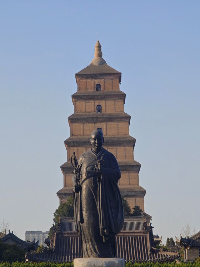 多角度賞花打卡攻略：與經典大雁塔同框