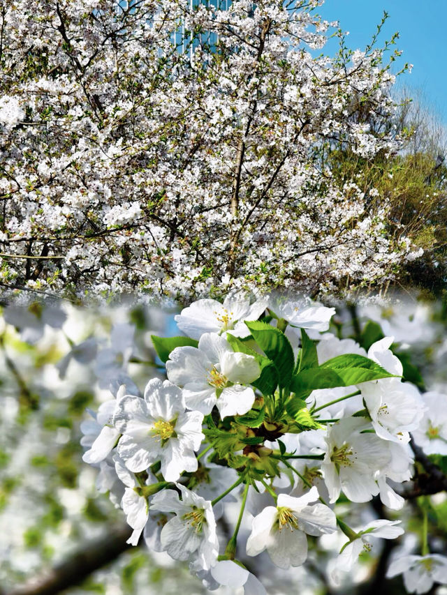 福州百林公園遊玩攻略