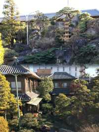 日本笛吹市嘅桃控要瘋狂啦！富士山下嘅粉紅色秘境