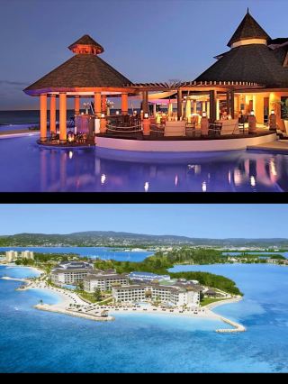 Secrets Wild Orchid
