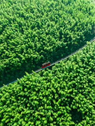 I found a real-life version of The Wizard of Oz in Liyang! (with travel tips)