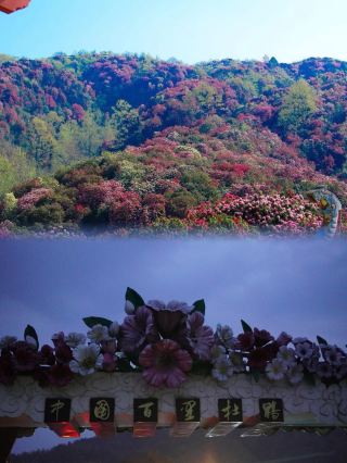 Guizhou Bijie In-Depth Travel Guide