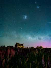 不止可以觀星，來蒂卡波這幾個玩法真的很吸引！