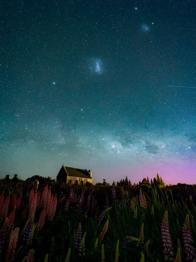 不止可以觀星，來蒂卡波這幾個玩法真的很吸引！