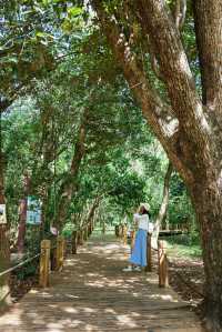 人少好拍在廣州我想去無數次的寶藏公園