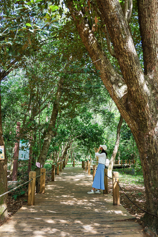 人少好拍在廣州我想去無數次的寶藏公園