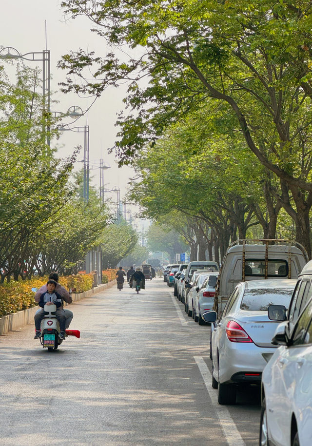 路過你的城市 · 安陽