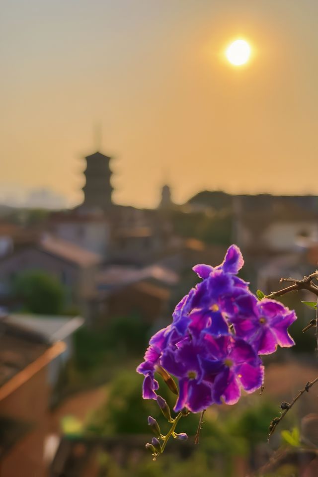 泉州古城｜這西街上拍夕陽的機位如何？！