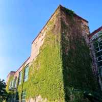 廣州蒲洲花園綠房子與明珠灣大橋｜地鐵直達的絕美海邊打卡秘境