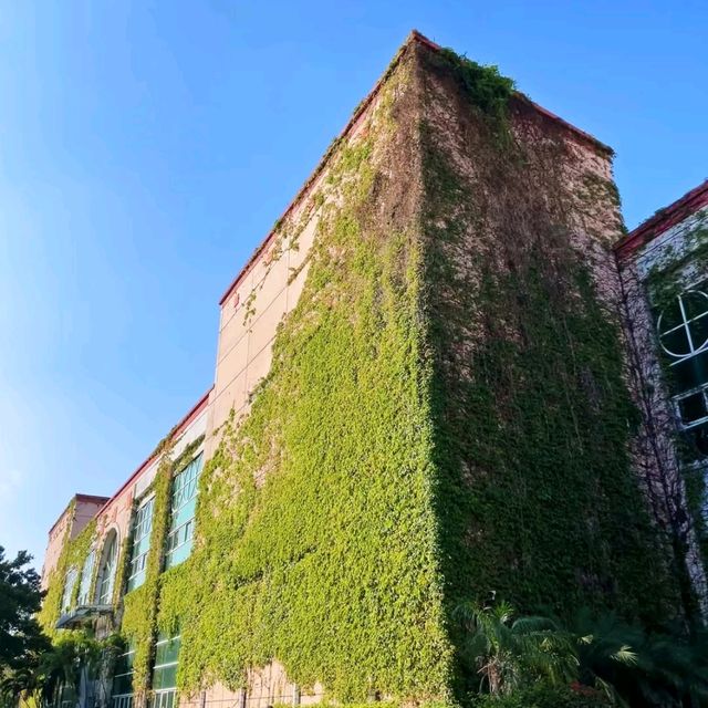 廣州蒲洲花園綠房子與明珠灣大橋｜地鐵直達的絕美海邊打卡秘境