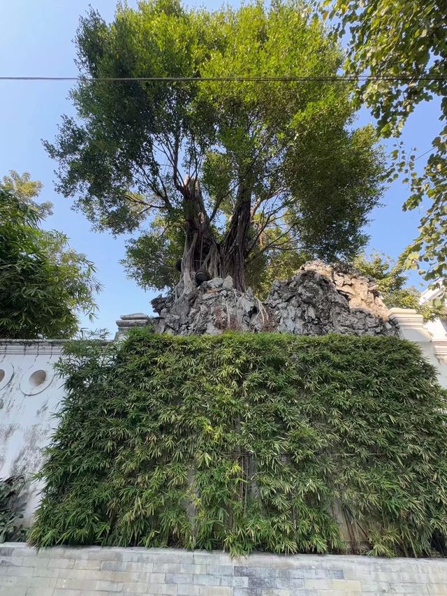打卡荔灣湖公園 邂逅嶺南水鄉