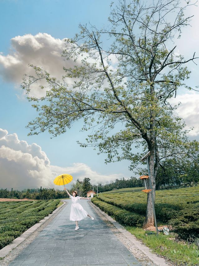 以為景德鎮已經很美了，直到我去了瑤里