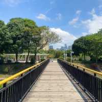 深圳·去一次就會愛上的公園🍃中心公園