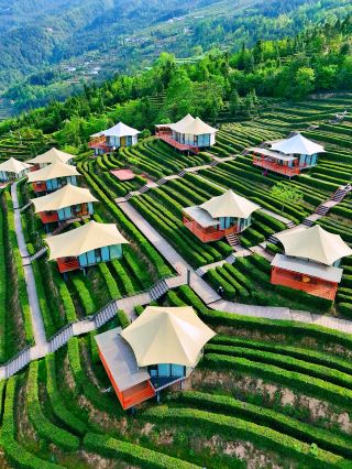 Yichang's ultra-healing niche tea garden homestay