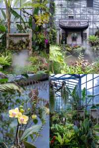 東莞如果只去一個地方，那一定是植物園！