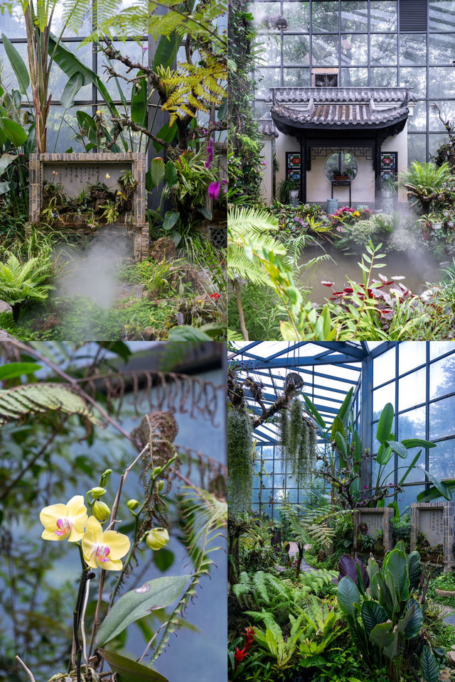 東莞如果只去一個地方，那一定是植物園！