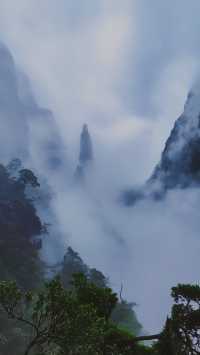 雨中漫步莽山：霧靄深處的奇幻仙蹤