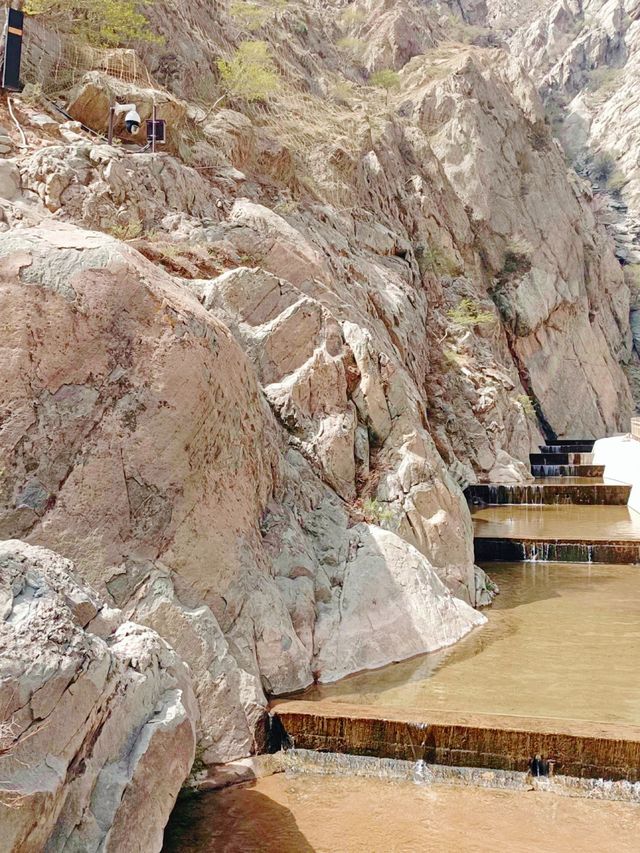 與遠古的對話，盡在賀蘭山岩畫