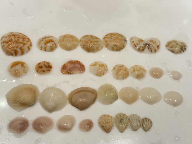 廈門｜法式親子天花板波特曼玩水躺平遛娃Stacation