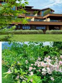 入住春山外，邂逅詩意湯屋|解鎖春日限定旅拍