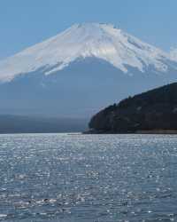 富士山一日遊，東京出發，山中湖河口湖