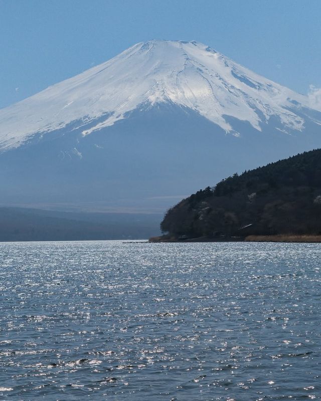 富士山一日遊，東京出發，山中湖河口湖