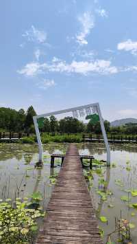 打卡太湖圖影濕地文化園