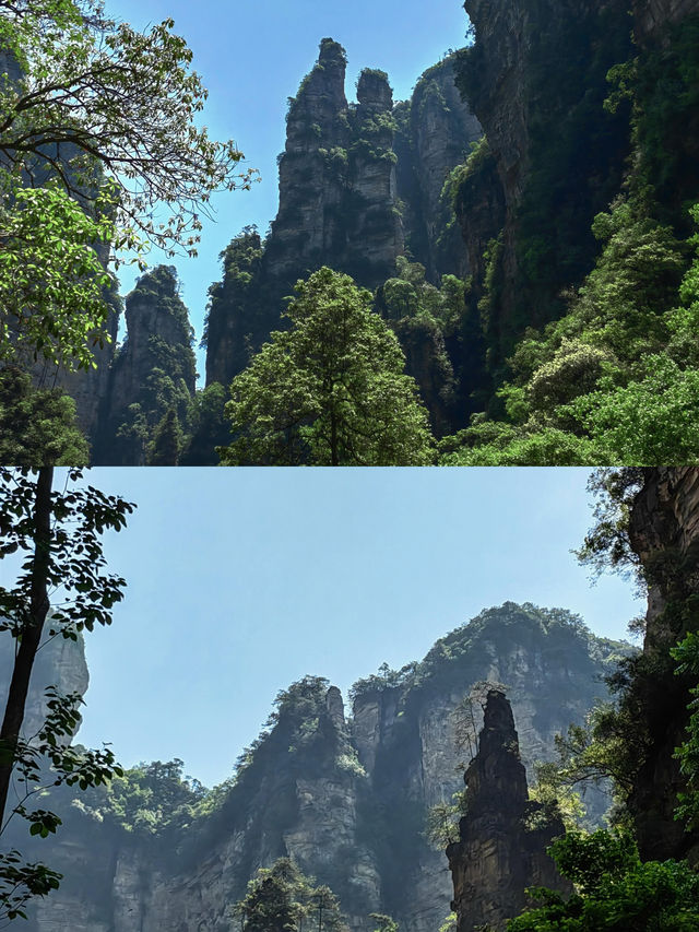 張家界——地球億年雕琢嘅魔幻現實主義