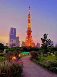 東京芝公園超詳細交通攻略，東京塔最佳打卡地 