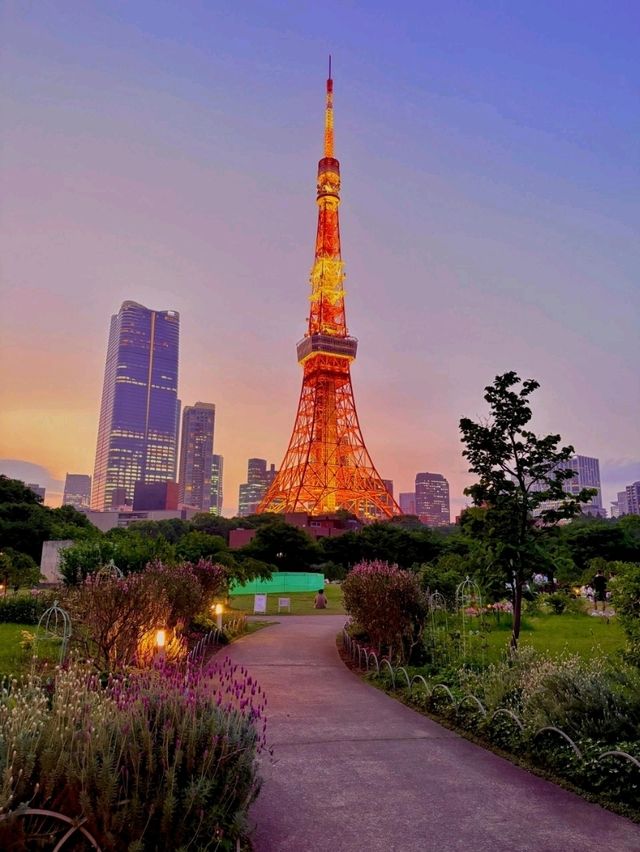 東京芝公園超詳細交通攻略，東京塔最佳打卡地 