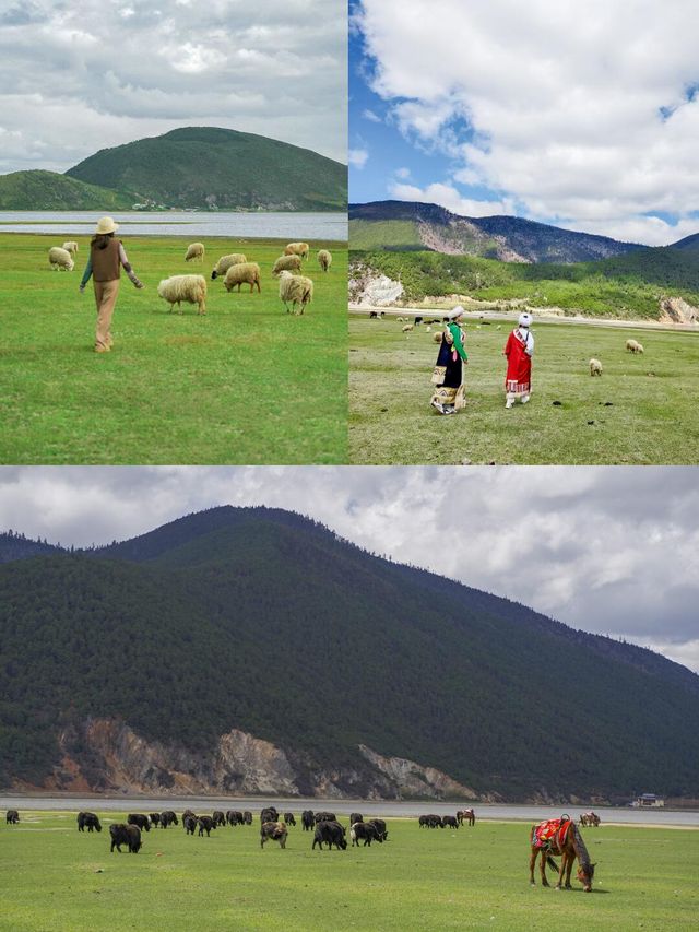 神獸出籠倒數！暑假赴一場藏地輕奢之旅