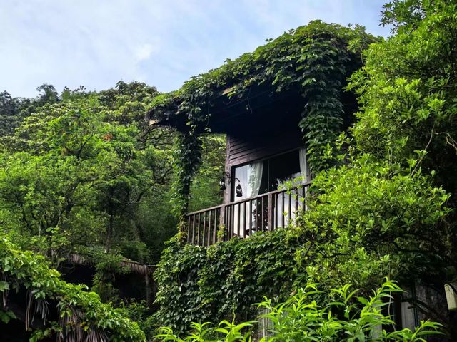 呢度真係夏天嘅好去處