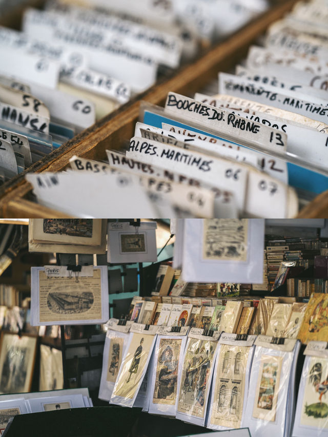 Exploring Paris: A City Walk Along the Seine River