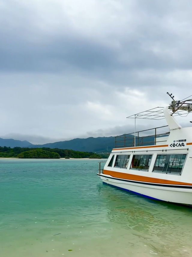 🏝️石垣島岸上日 · 鼓浪嶼號郵輪攻略✨