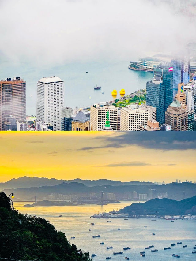 香港2日1夜超全打卡攻略（不走回頭路版）