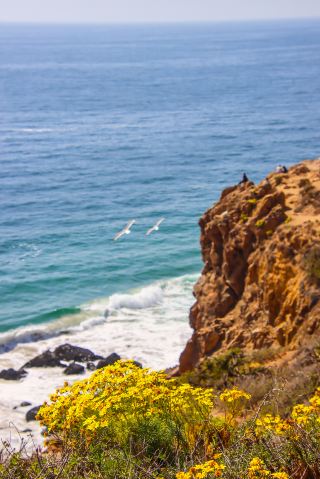 The Ultimate Los Angeles Road Trip Guide: 9 Must-Experience Drives