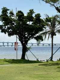 綠意浮光中的靜謐樂園 — 澳門濠璟酒店