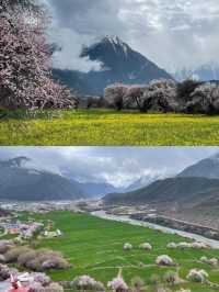 波密桃花溝：邂逅一場春日嘅粉色浪漫
