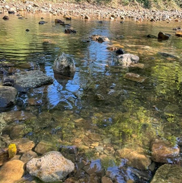 從化摸魚溯溪太治癒山野減壓計劃