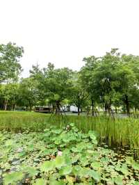錢江三橋濱江東側，江景壯闊，步道優美
