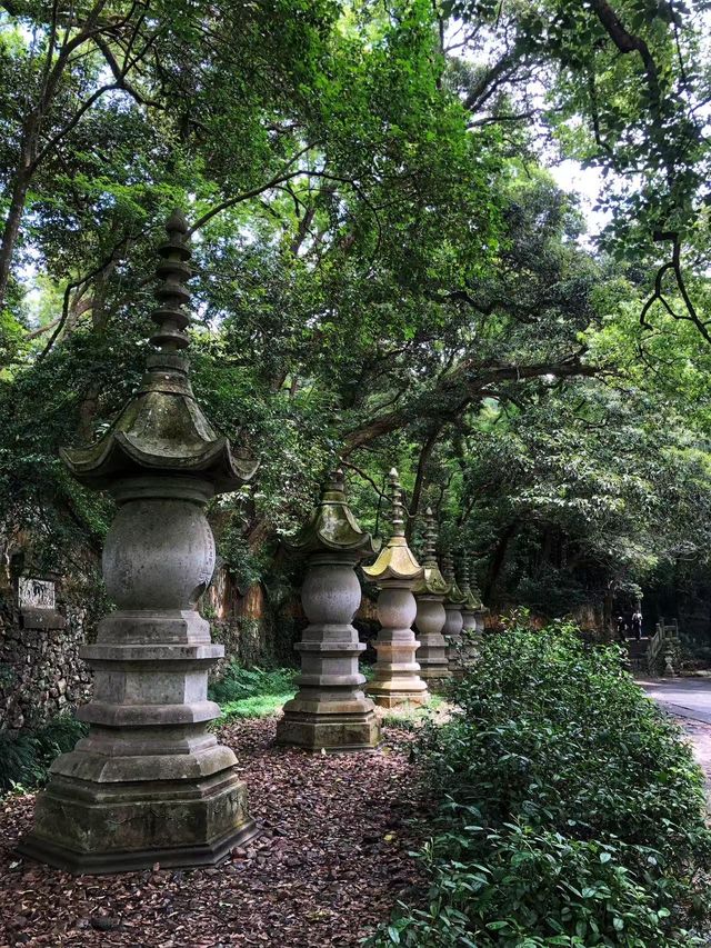 國清寺攻略·解鎖千年古剎的正確打開方式