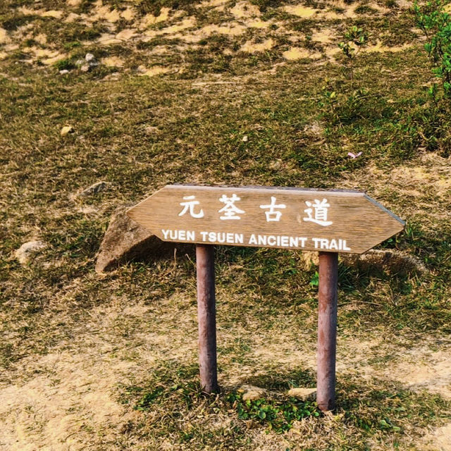元荃古道石龍拱行山攻略 | 飽覽山海美景🌄