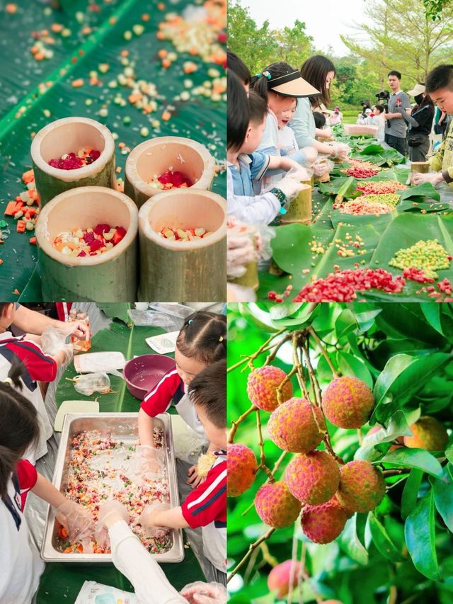惠州海邊農家樂團建｜打工人超好玩攻略