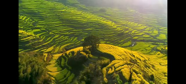 邂逅篁嶺，赴一場夢幻的田園之約   踏入篁嶺，彷彿穿越時空，走進了一幅被歲月珍藏的江南畫卷。連綿的山