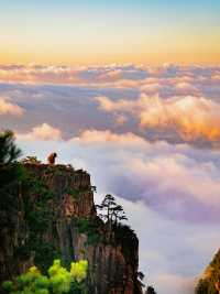 邂逅黃山，三日唯美之約
