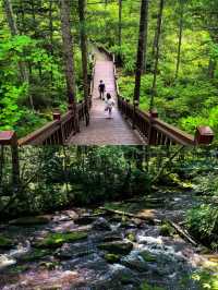 伊春超全面旅遊攻略｜解鎖森林氧吧のN種玩法！