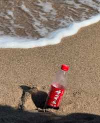 青島遊｜一半山海一半城