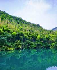 江浙滬打工仔週末出走計劃！呢片綠野仙蹤治癒咗我嘅精神內耗"