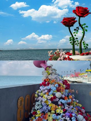 北戴河返嚟啦，亂咁睇緊書中。。。